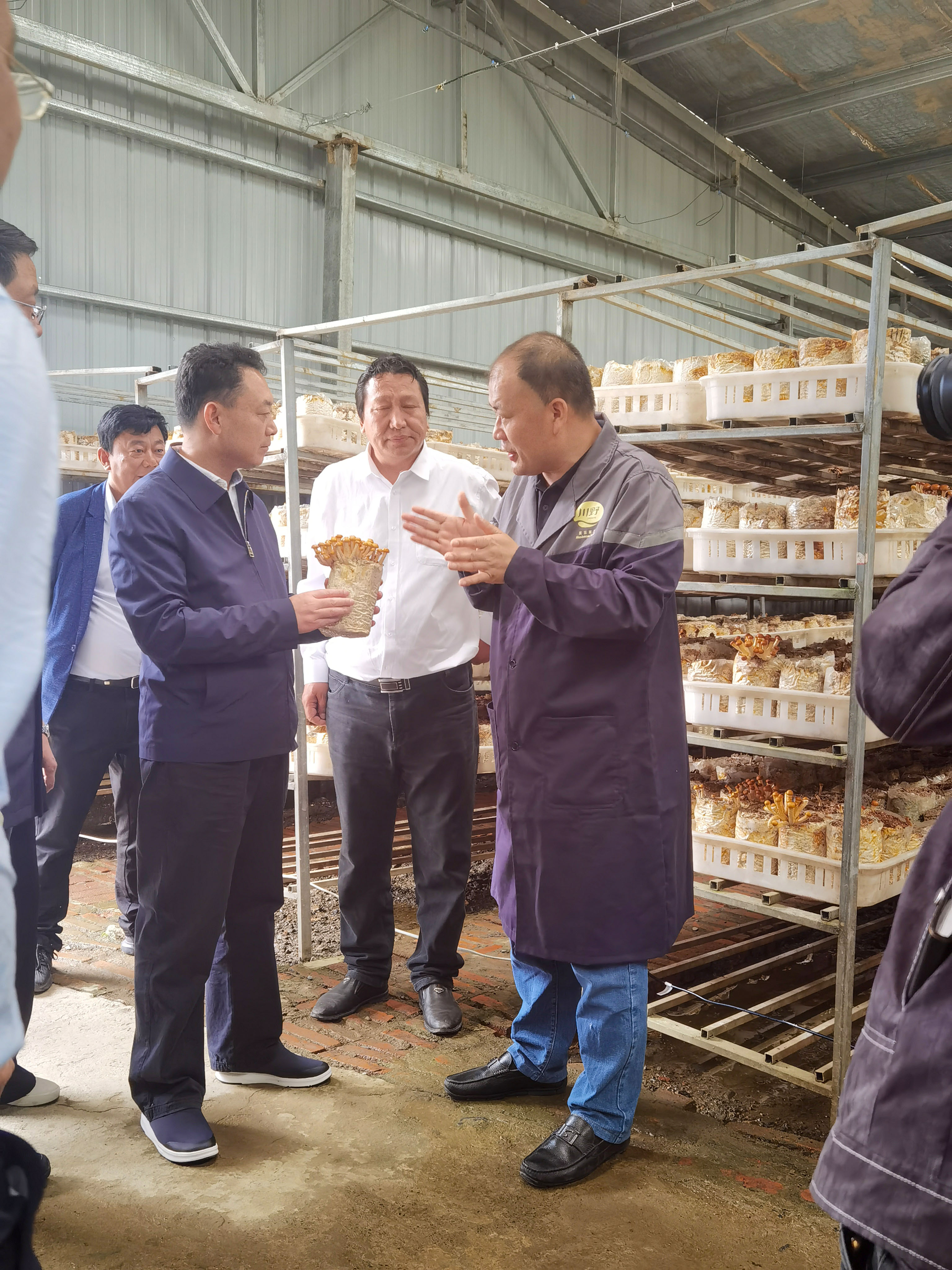 8ae0b09dd15962726951133b8962b2f5.jpg 13141622184068_.pic_hd-1.jpg